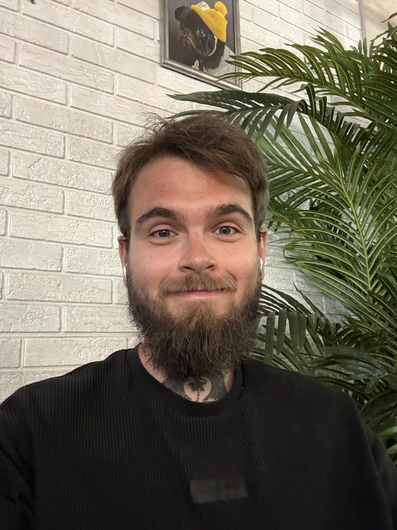 Denis in a black sweater, beside a green plant and a white brick wall.